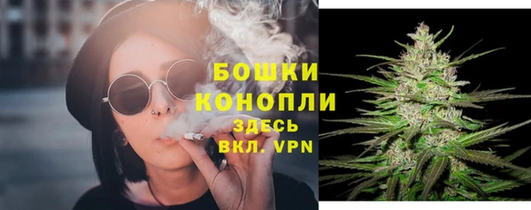 прущая мука Карпинск