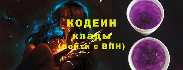 хмурый Касимов