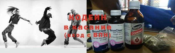 хмурый Касимов