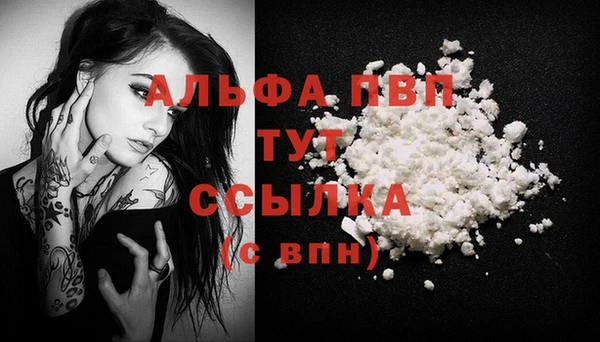 хмурый Касимов