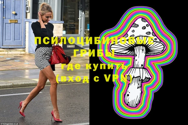 PSILOCYBIN Карталы
