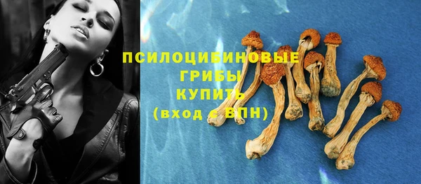 прущая мука Карпинск