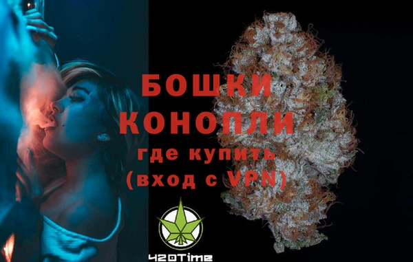 хмурый Касимов