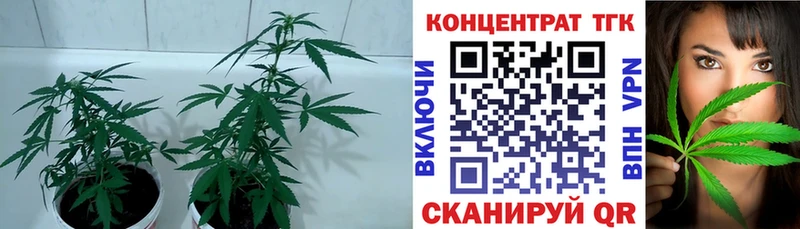 Купить где  Рыльск  ТГК вейп с тгк 