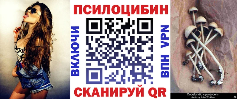 Купить  Рыльск  Псилоцибиновые грибы Psilocybe 